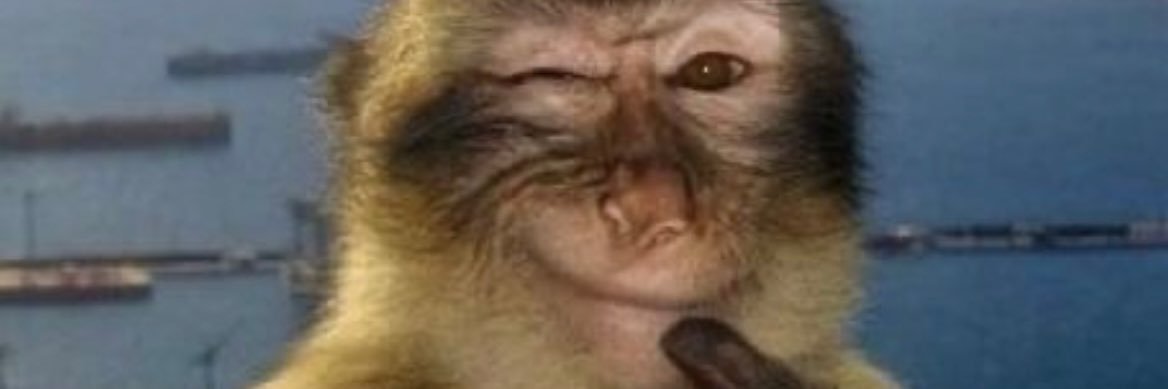 fl0rdtangerina's profile banner image