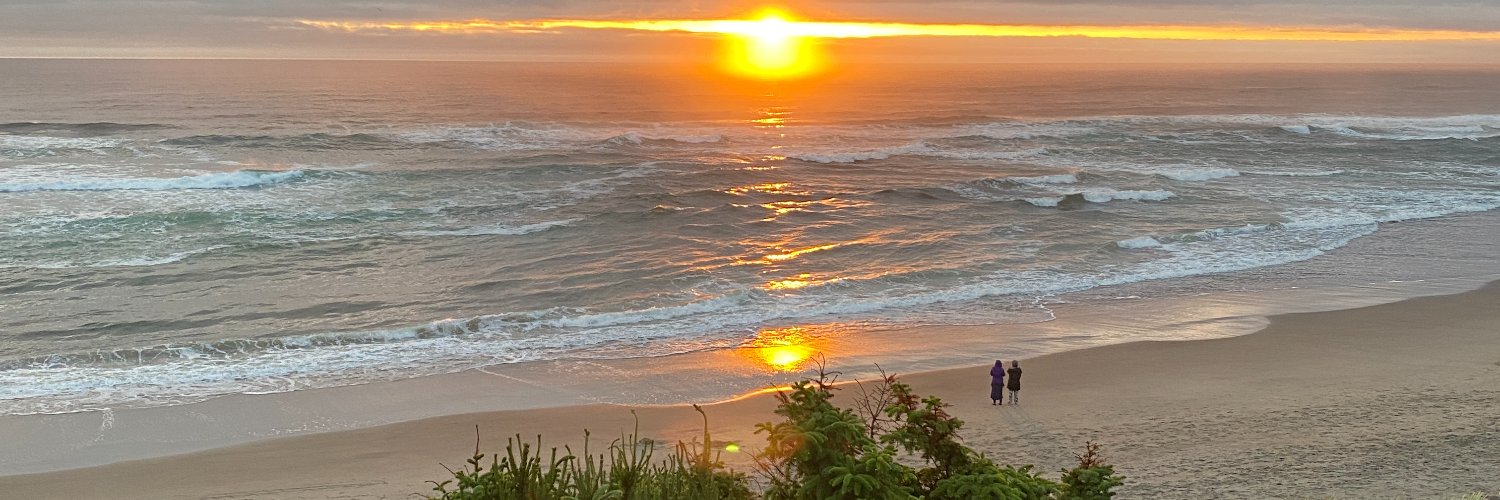lillylane's profile banner image
