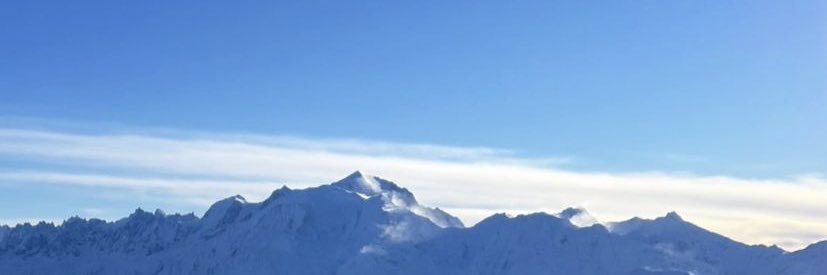 fant1ne's profile banner image