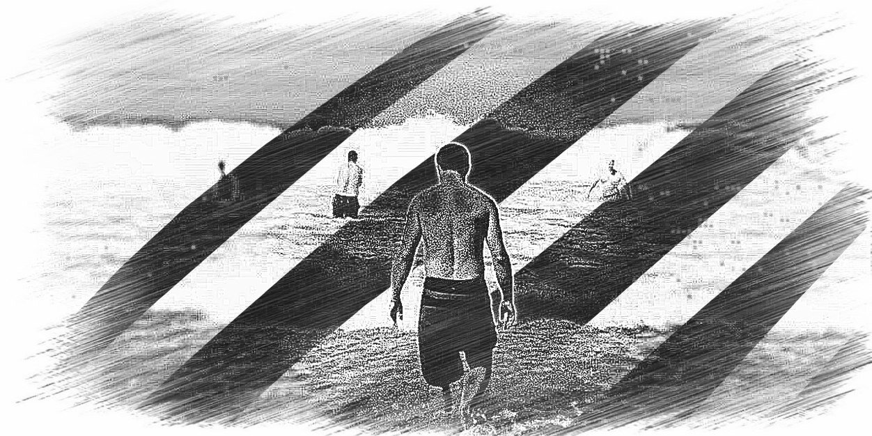 marco el bibo banner
