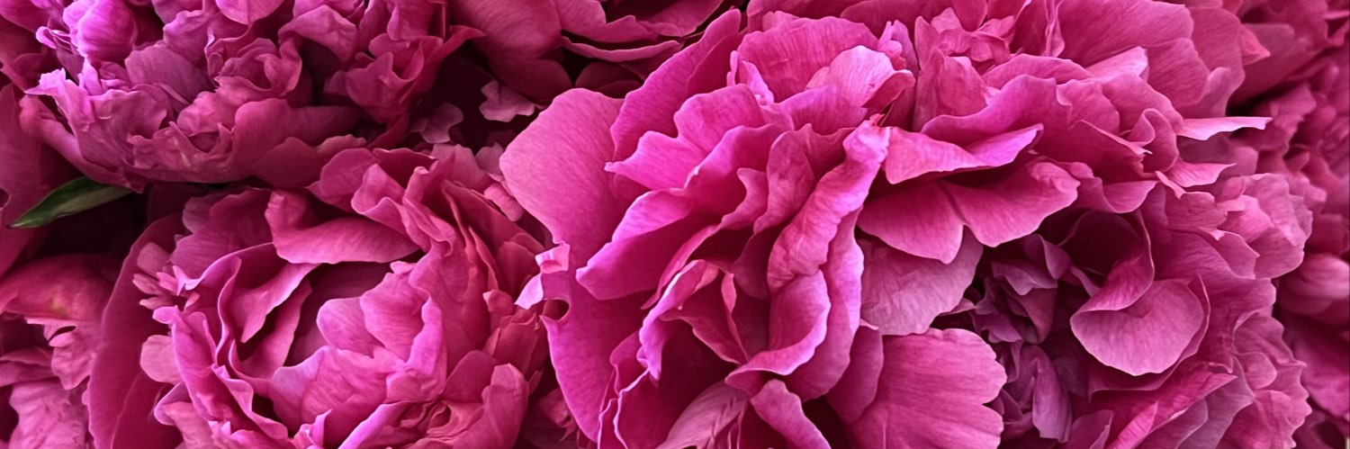 kianabriscoe's profile banner image