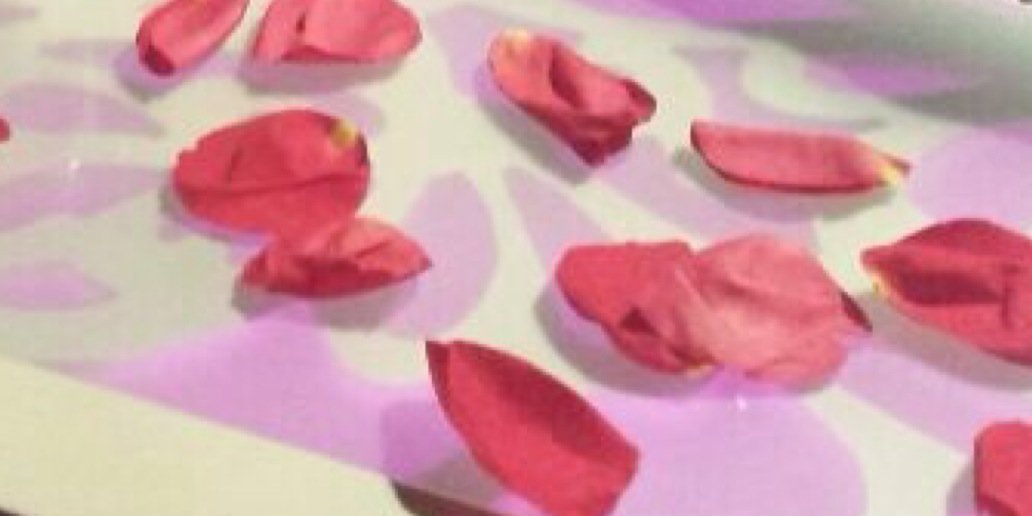 haalaawa's profile banner image