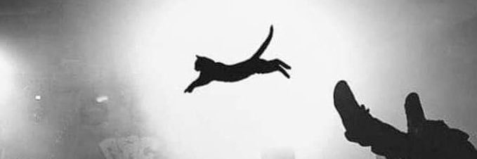 spcwby12's profile banner image