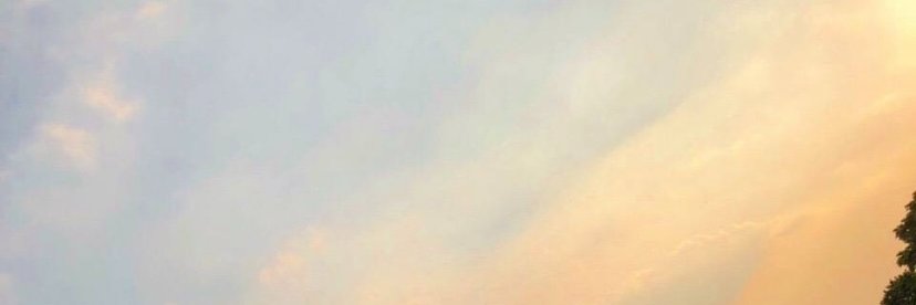 lee520_anne's profile banner image