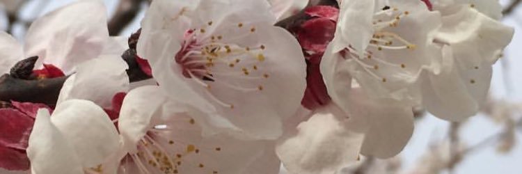tujiad's profile banner image