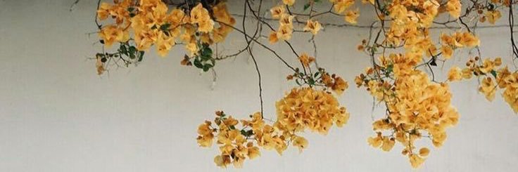 fearlfresco's profile banner image