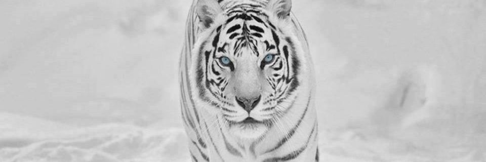 jw47657's profile banner image
