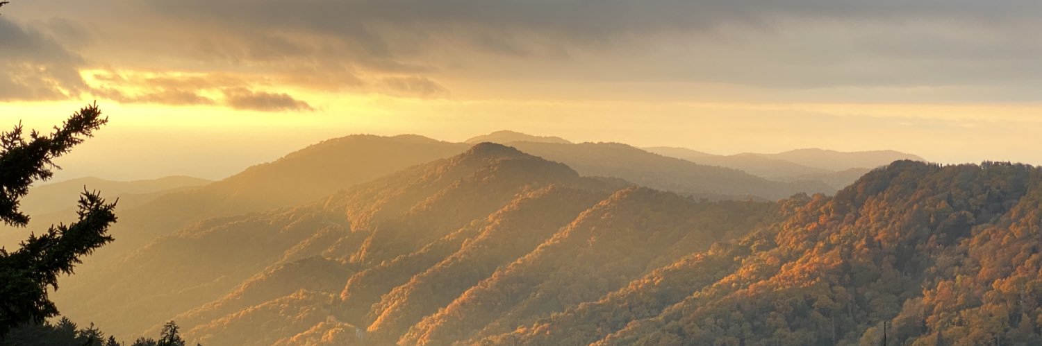 TotalGDaddyMove's profile banner image