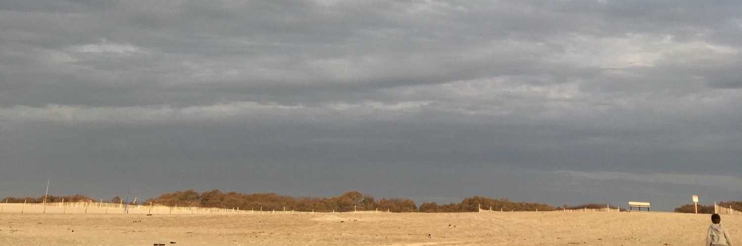 @MicroMaresca on 🟦 banner