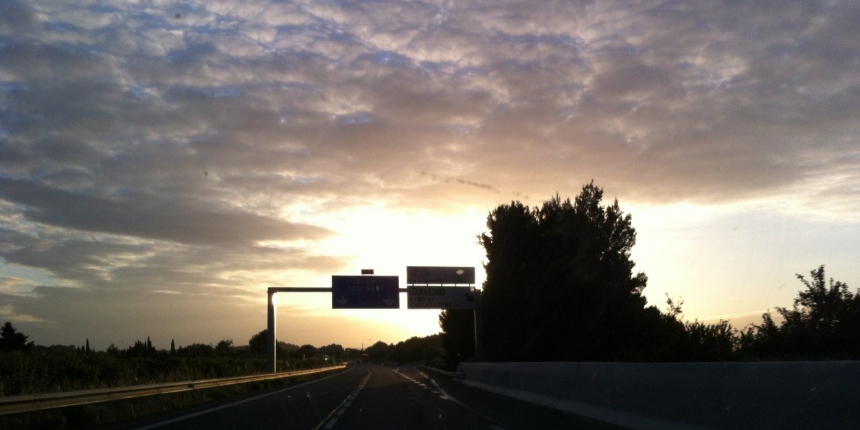 Wipf-Scheibel B. banner