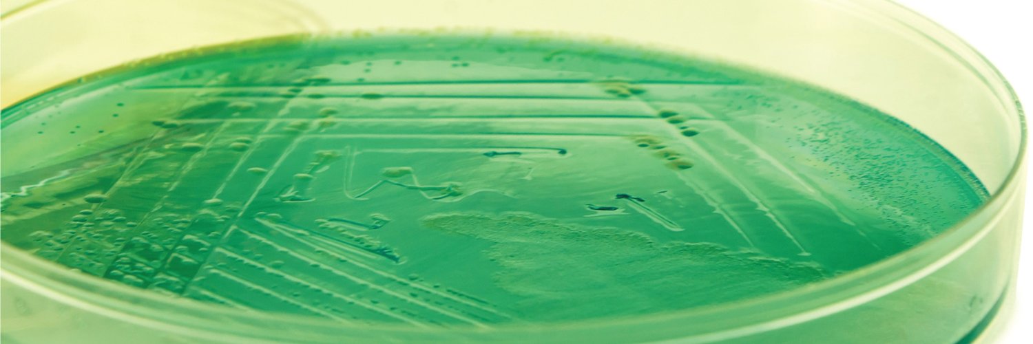 Pseudomonas Database banner