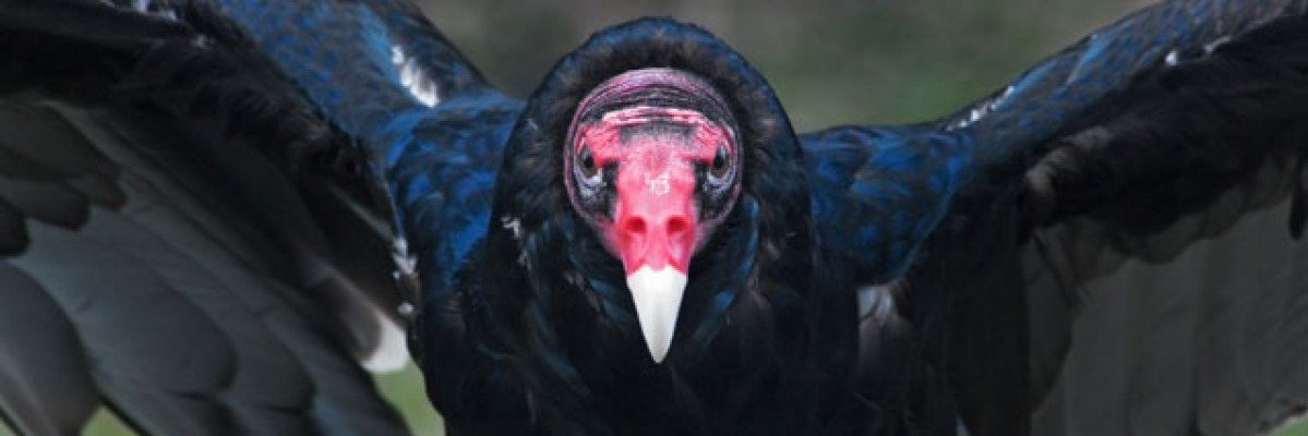 potatowast3's profile banner image