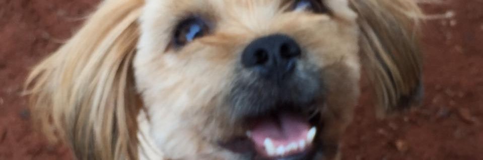 MeChamaDeHanys's profile banner image