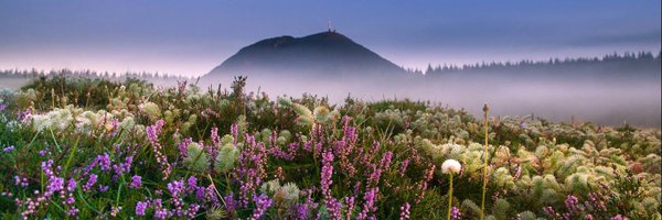 JosianeHadri Profile Banner