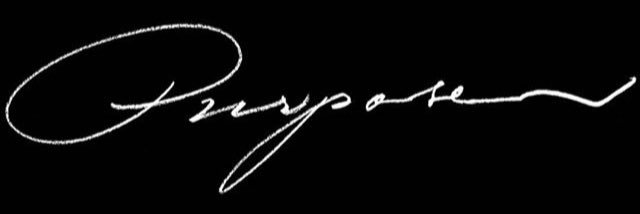 iremaynac2's profile banner image