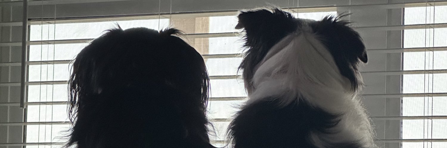 MuckenThingsUp's profile banner image