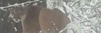 JustinButt8's profile banner image