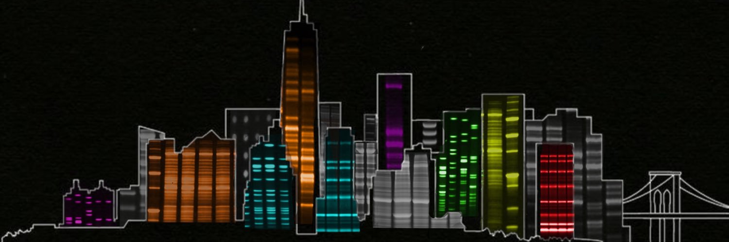 esrabaskurt's profile banner image