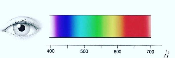 silvimcarneiro Profile Banner