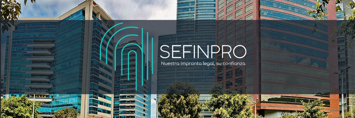sefinpro's profile banner image