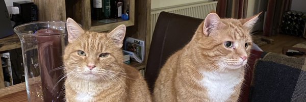 PaulTravill Profile Banner