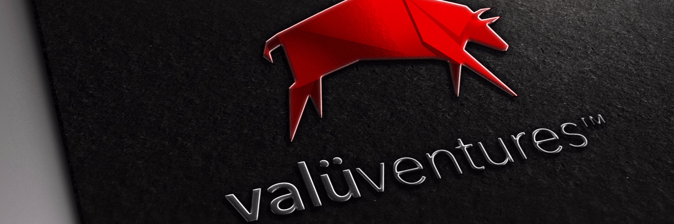 valuventures's profile banner image