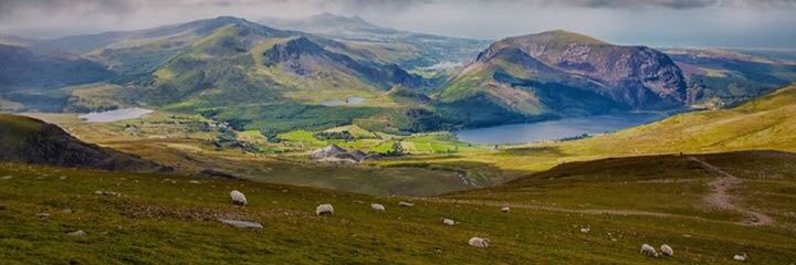 lovewelshlamb's profile banner image