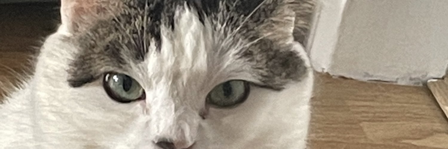 fckthegreatreset banner