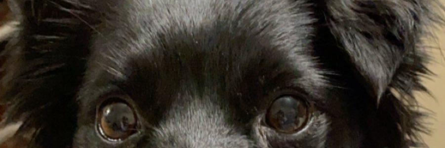 dhano23's profile banner image