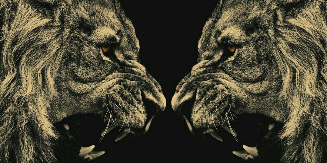 Scoop8723's profile banner image
