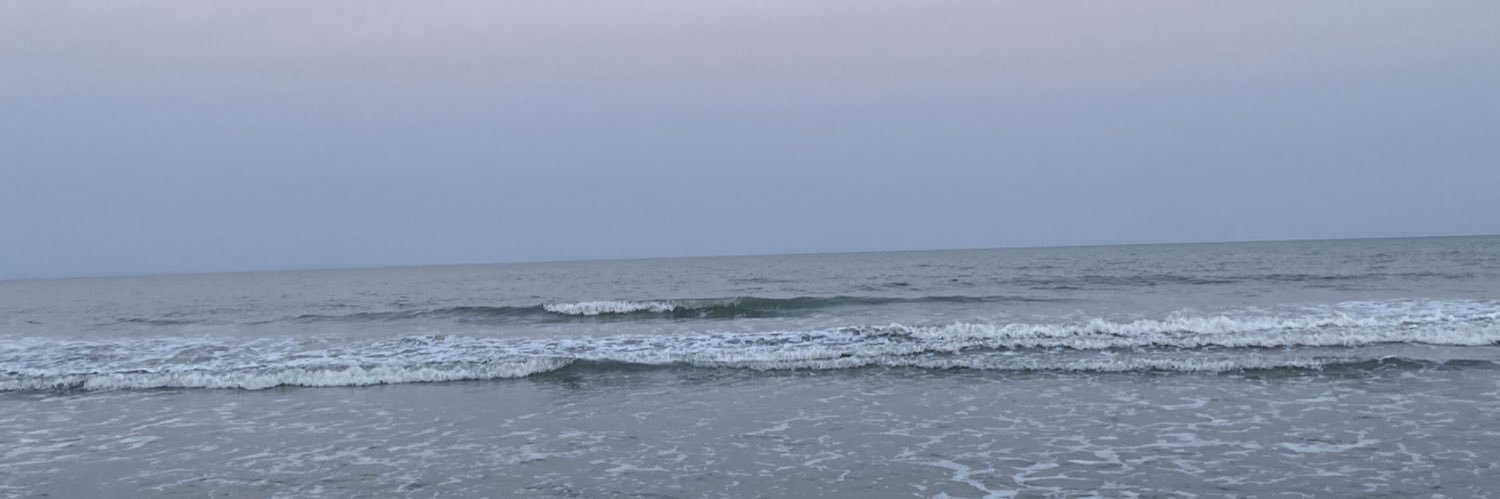 irealston's profile banner image