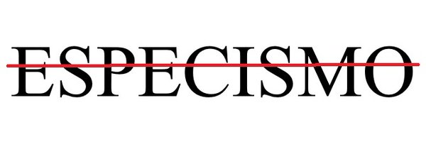 albertorulos Profile Banner