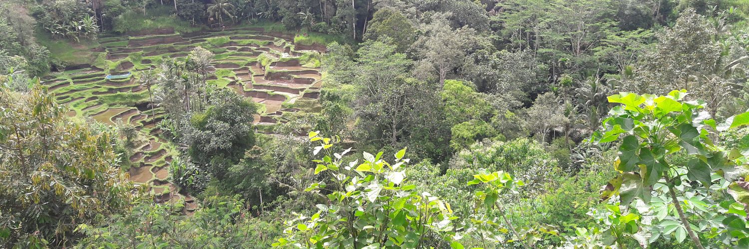 Felix Prayogo banner