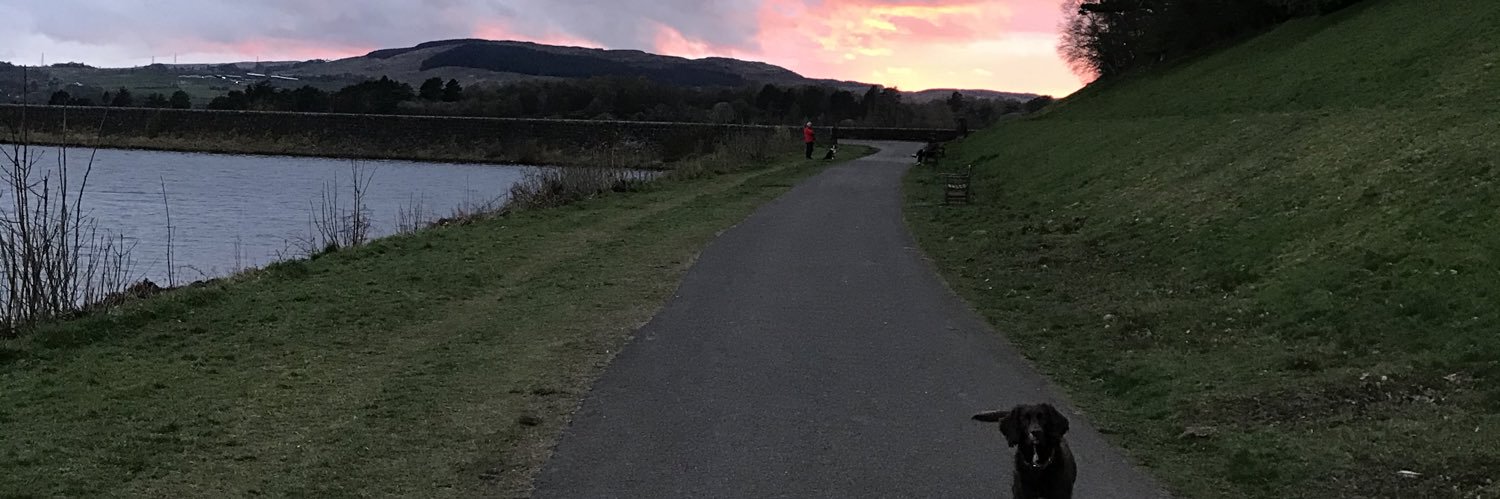 _RachelGibson_'s profile banner image