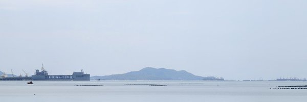 beeboy02 Profile Banner