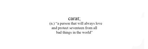 CaratSelcaDay's profile banner image