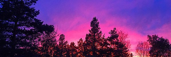 emilymbennett1's profile banner image