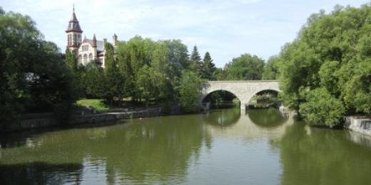 RosemaryVail1's profile banner image