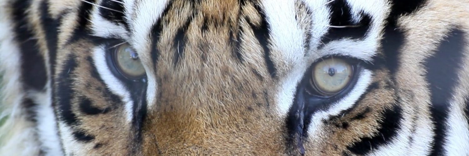 DavidEnden's profile banner image