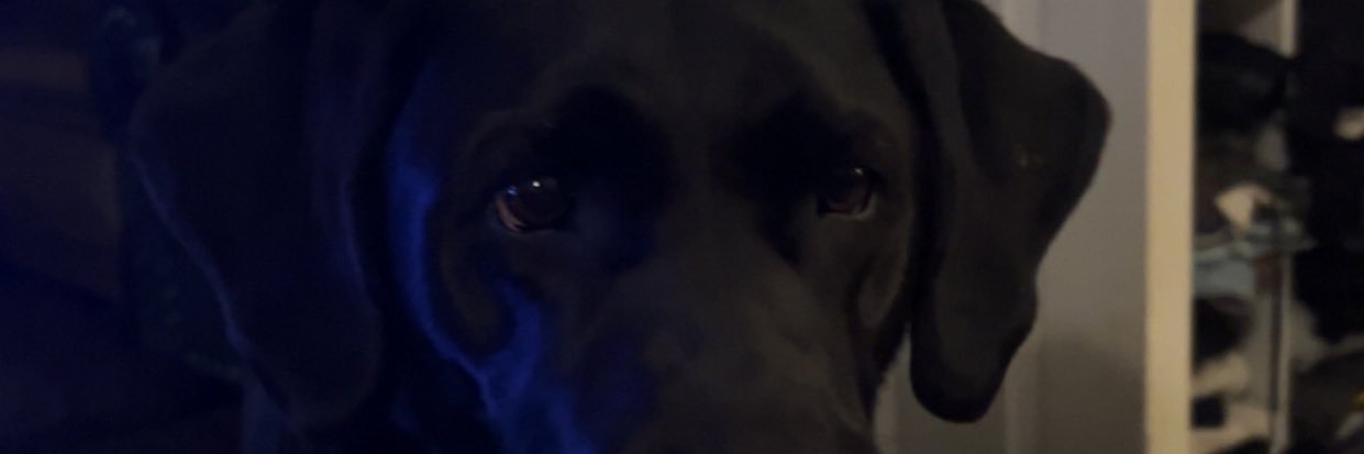 evvy banner