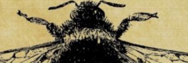 BrendaGoebel's profile banner image