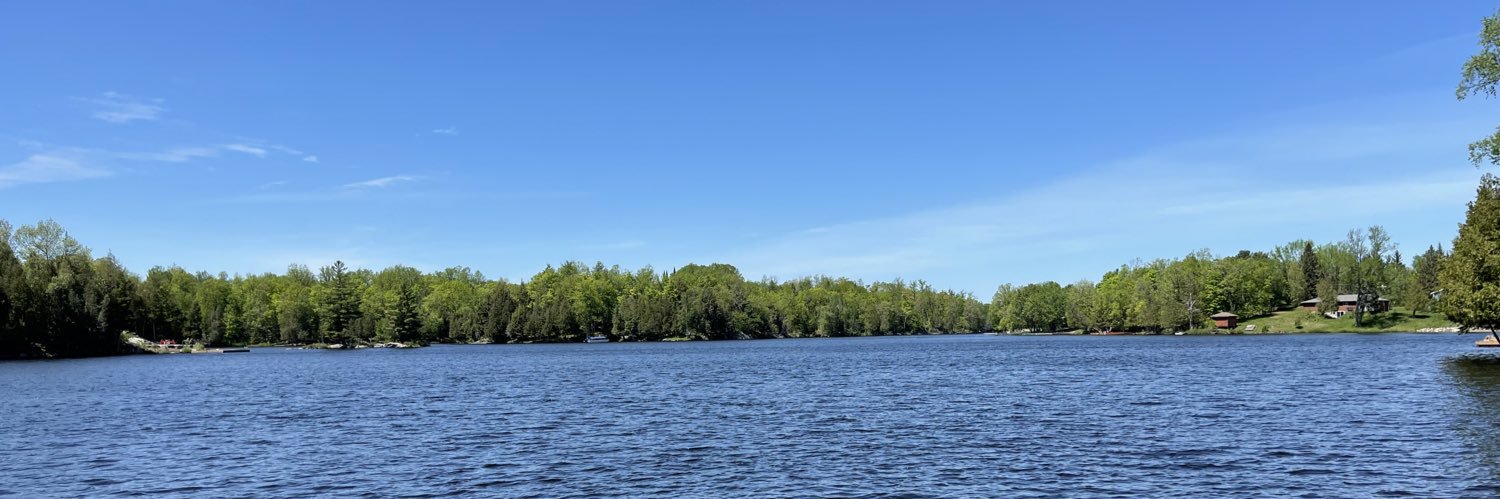 Erica Pignatelli banner