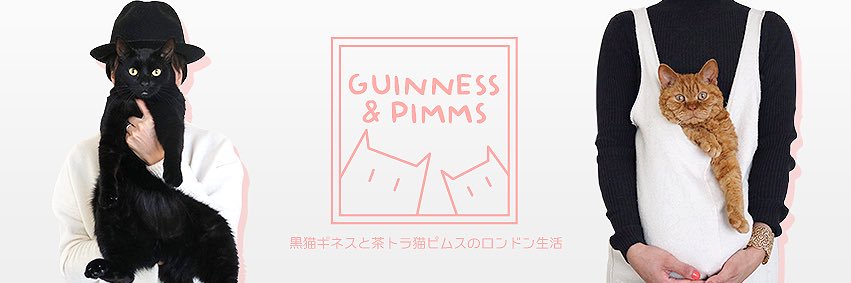 rinaguinness's profile banner image