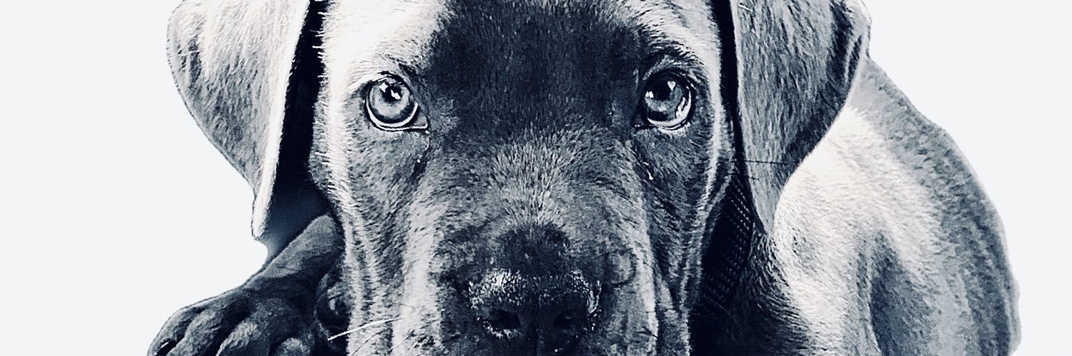 emmdenise_'s profile banner image