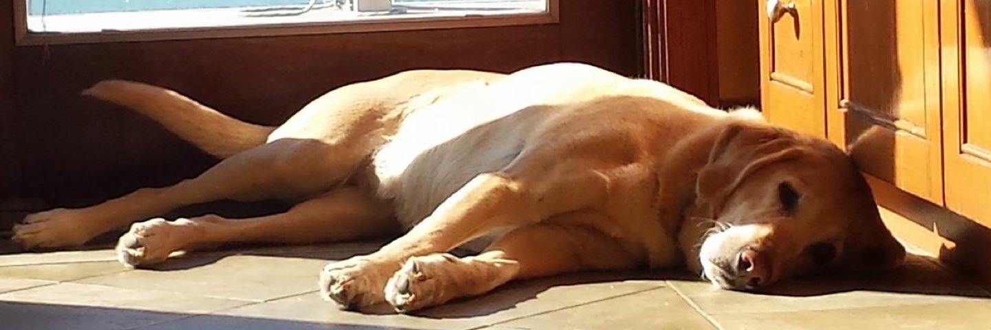carrumph's profile banner image