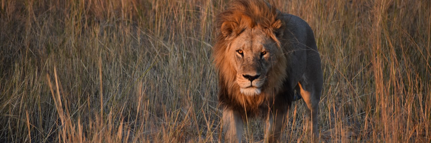 Cooper Walker banner