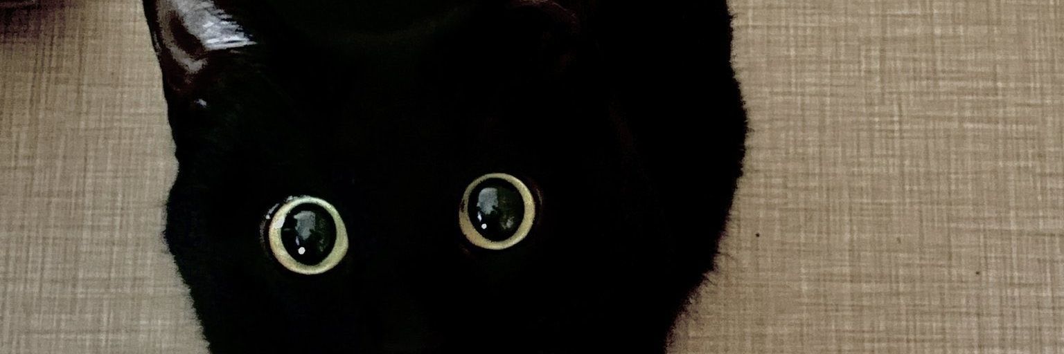 ulbbaa's profile banner image