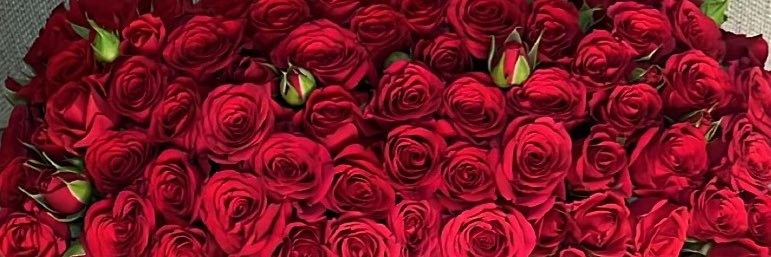Bashayr_299's profile banner image