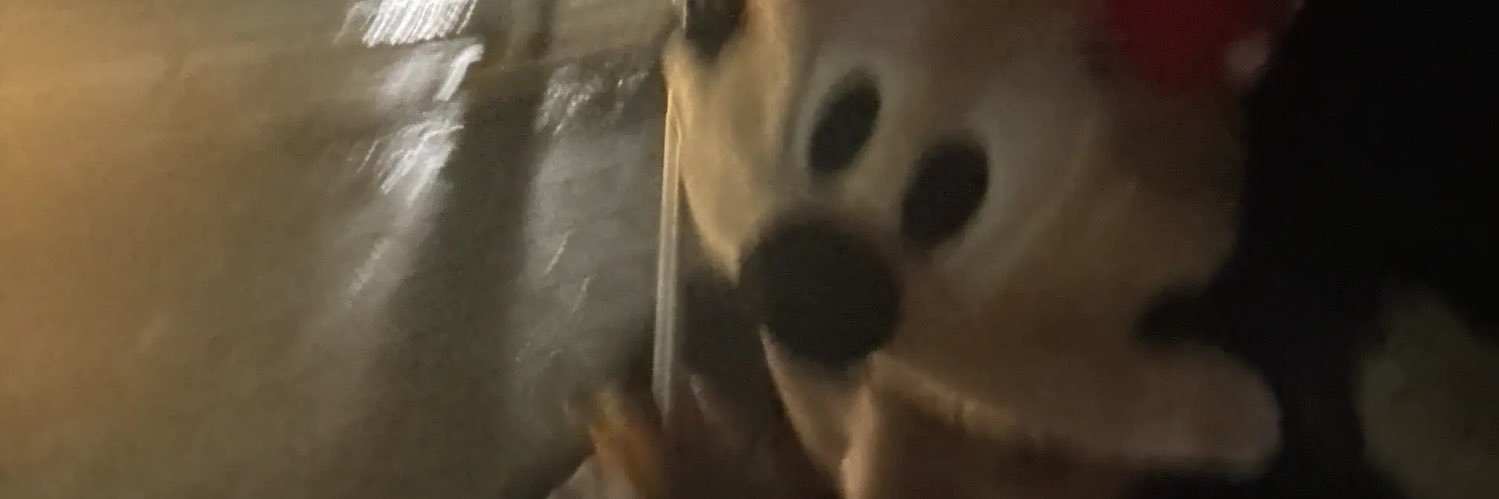 shimizuzzz's profile banner image