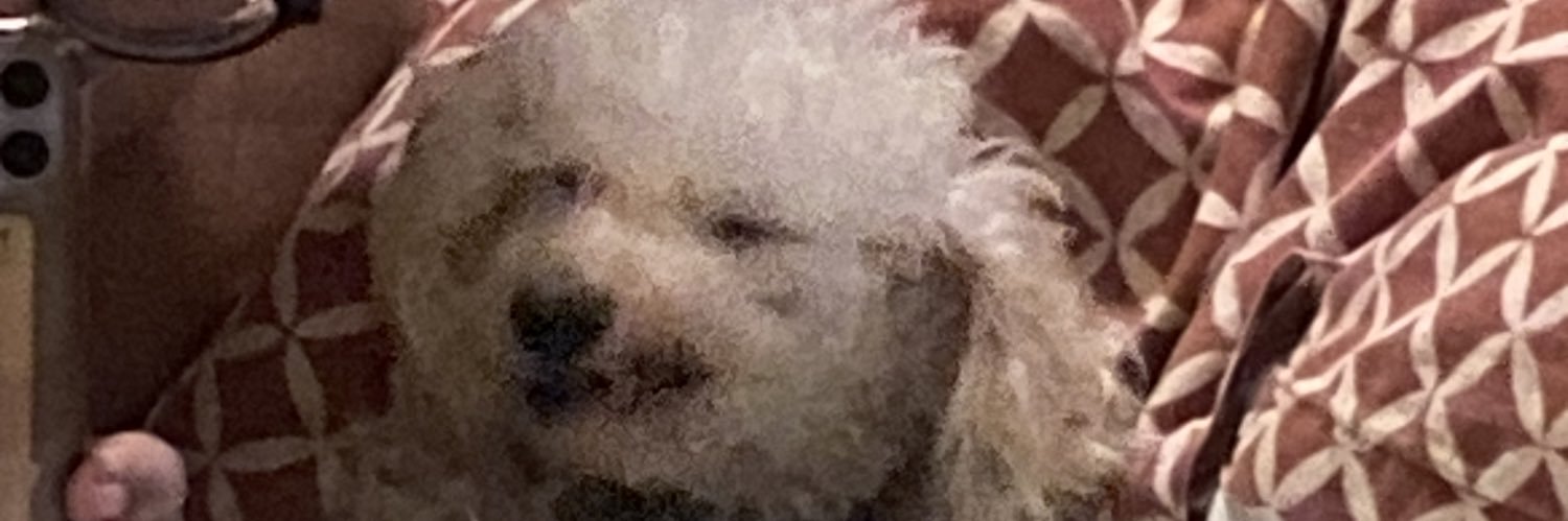 nccxhat's profile banner image